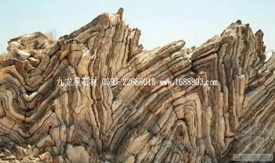 盤點仿生界的五大景觀奇跡